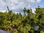 IMG 20190918 135016077 HDR